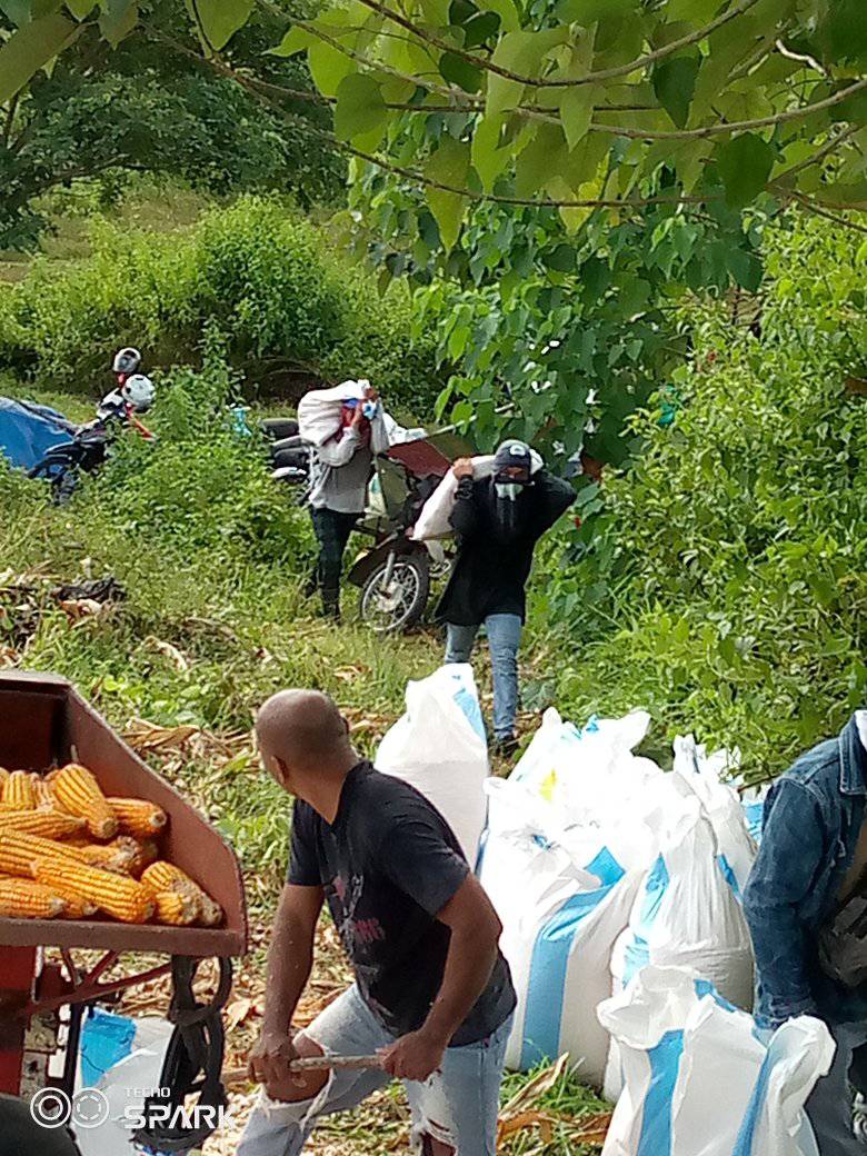 310845624_493748772764539_3611475143464561036_n