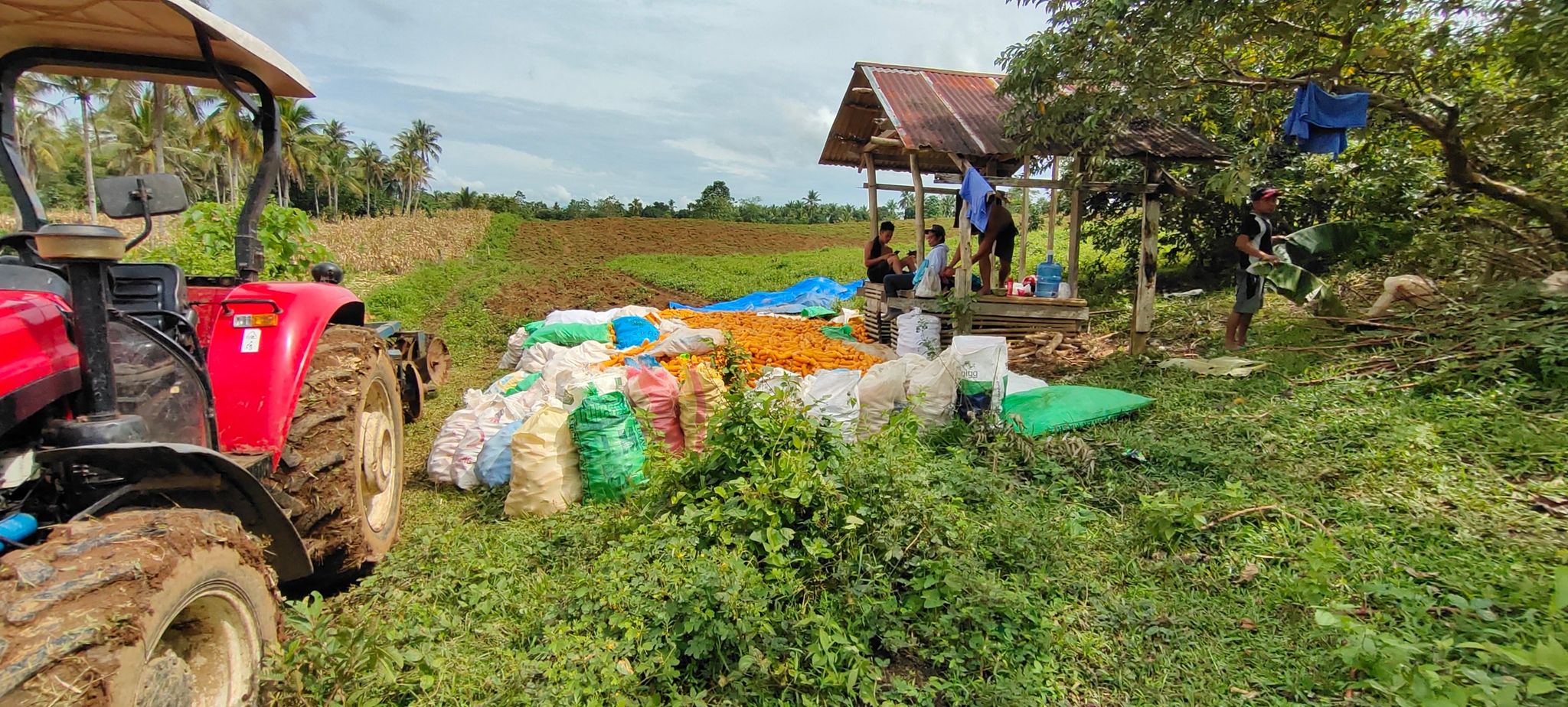 310890669_493748899431193_265906333834849281_n