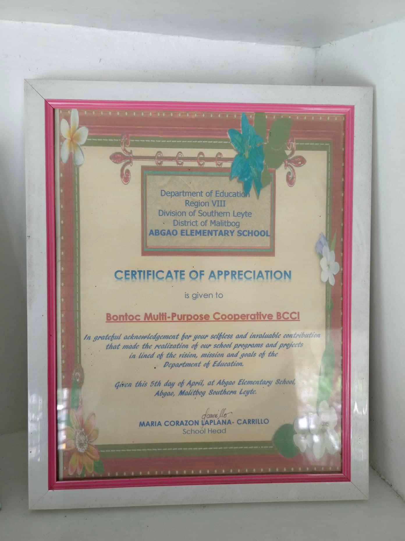 315026663_494797692599286_7073948863462670219_n